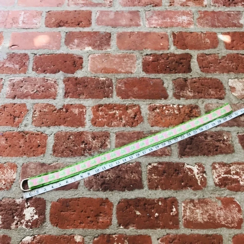Pink & green preppy ribbon 80's frog belt